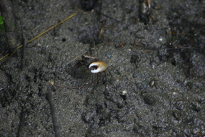 img_4843.jpg