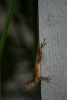 img_4850.jpg
