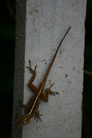 img_4851.jpg