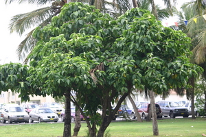 img_4865.jpg