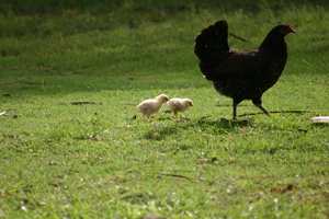 img_4867.jpg