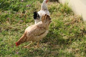 img_4882.jpg