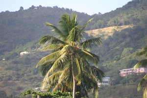 img_4941.jpg