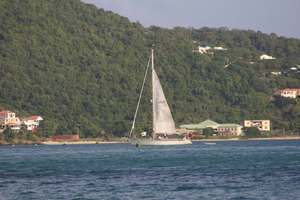 img_4949.jpg