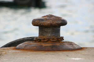 img_4956.jpg