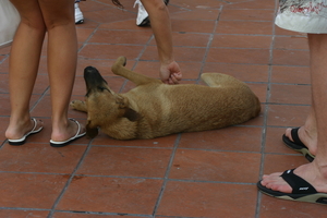 img_4986.jpg