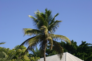 img_5001.jpg