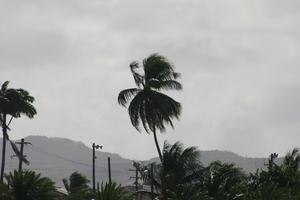 img_5007.jpg