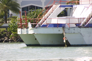 img_5008.jpg
