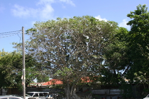 img_5043.jpg