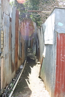 img_5067.jpg