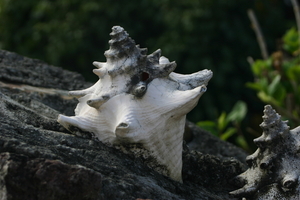 img_5076.jpg