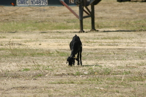 img_5083.jpg
