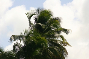 img_5084.jpg