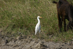 img_5087.jpg