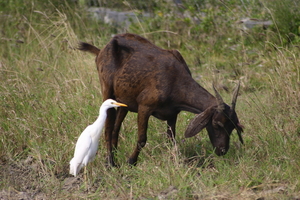 img_5089.jpg