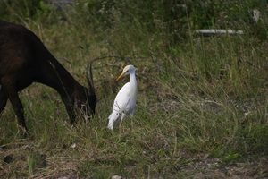 img_5096.jpg