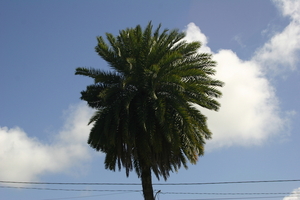 img_5109.jpg