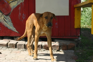 img_5115.jpg