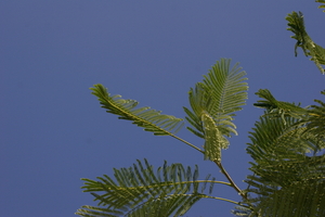 img_5129.jpg