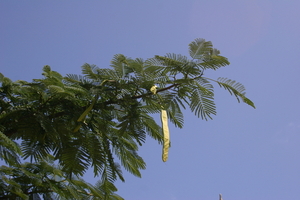img_5130.jpg
