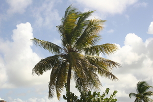 img_5131.jpg