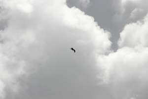 img_5140.jpg
