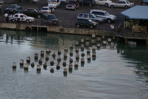 img_5153.jpg