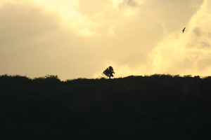 img_5156.jpg