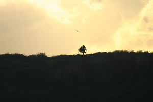 img_5157.jpg