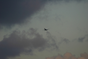 img_5181.jpg