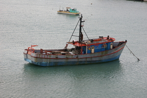 img_5204.jpg