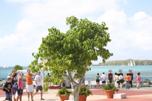 img_5256.jpg