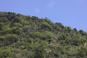 img_5260.jpg
