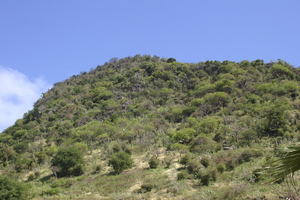 img_5266.jpg