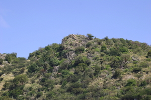 img_5277.jpg