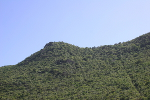 img_5278.jpg