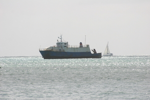 img_5308.jpg