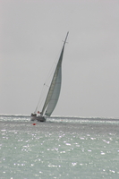 img_5313.jpg