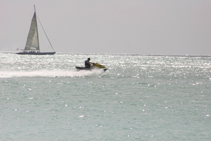 img_5315.jpg
