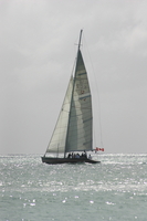 img_5319.jpg