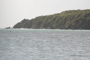 img_5332.jpg