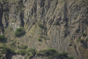 img_5333.jpg