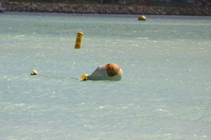 img_5337.jpg