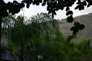 img_5363.jpg