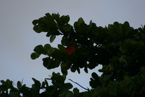 img_5364.jpg