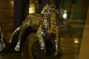img_5366.jpg