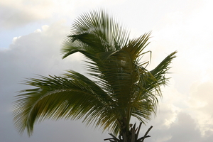 img_5368.jpg