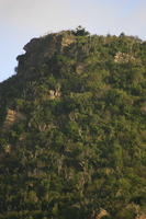 img_5372.jpg