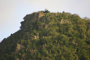 img_5373.jpg